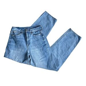 American Eagle Outfitters AEO Baggy Jean Distressed 8 Long